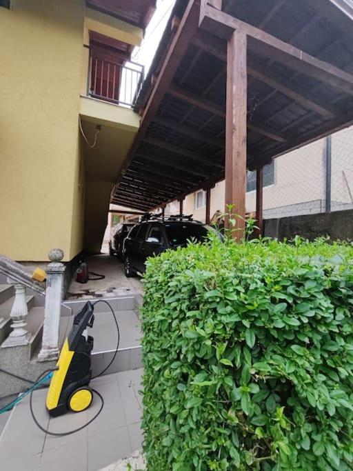 Apartment Artcool With Garden And Garage Sarajevo